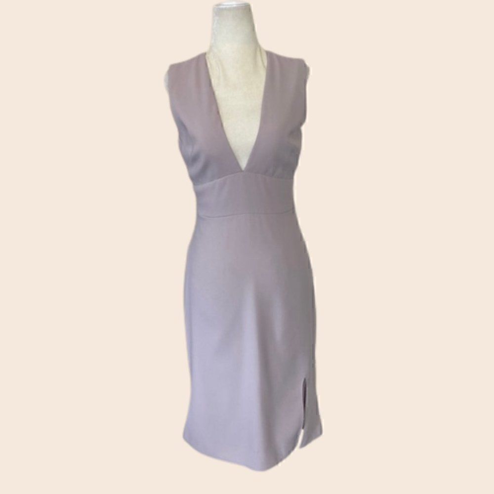 Lela Rose Taupe Mini Dress with Thigh Split Size 2